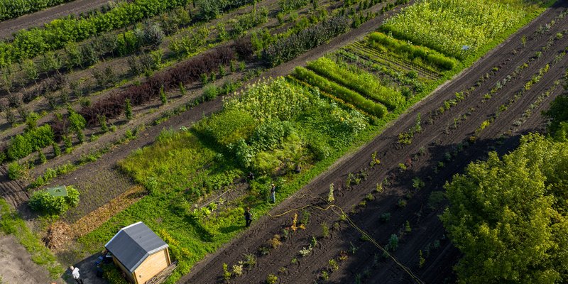 Das Foto zeigt den Weltacker von oben. Man sieht viele verschiedene Pflanzen und Beete. Unten im Bild steht ein kleines Holzhaus. Auf dem Acker sind auch einige Menschen zu sehen.