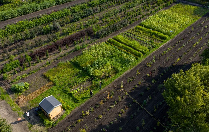 Das Foto zeigt den Weltacker von oben. Man sieht viele verschiedene Pflanzen und Beete. Unten im Bild steht ein kleines Holzhaus. Auf dem Acker sind auch einige Menschen zu sehen.